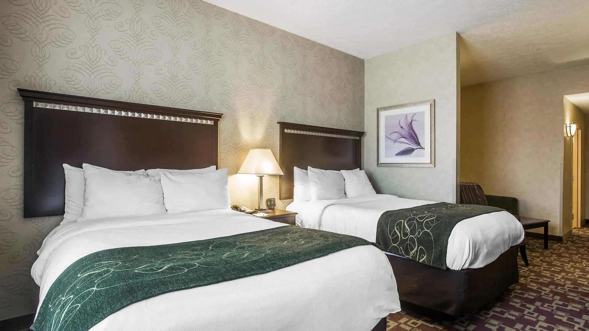 Comfort Suites Nashville 3*,  USA
