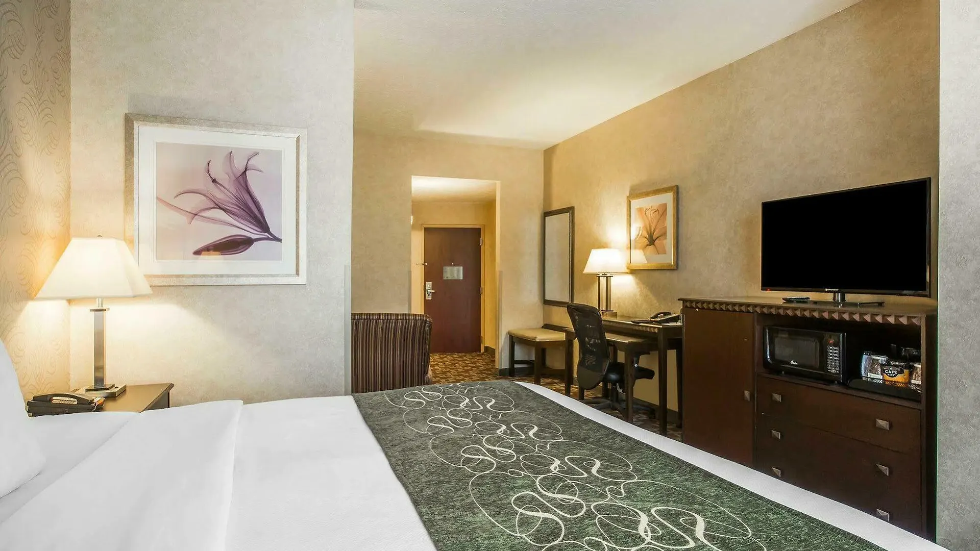 Comfort Suites Nashville Hotel