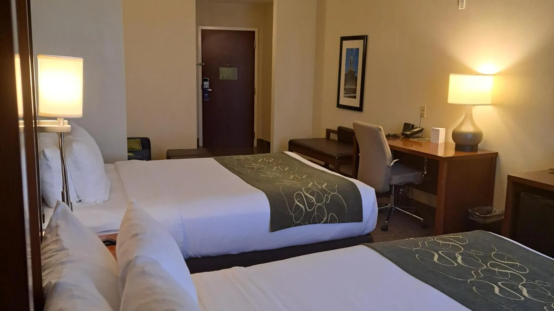 Comfort Suites Nashville 3*,  United States